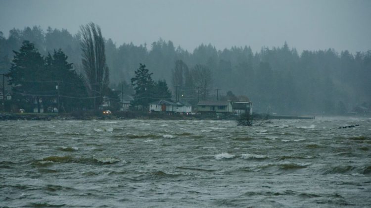 Mid Island and Sunshine Coast face strong winds and heavy rain tonight