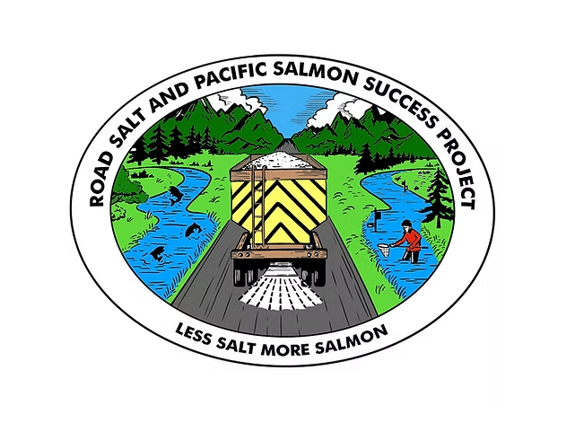 Conventional road salt could be killing Coho eggs, researchers find