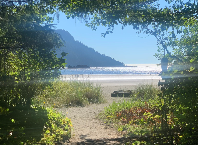 Cape Scott trails to get a half-kilometre of new boardwalks