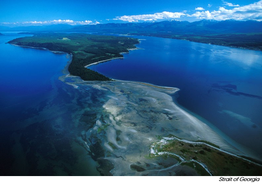 Vancouver Island named one of top destinations to travel in 2025