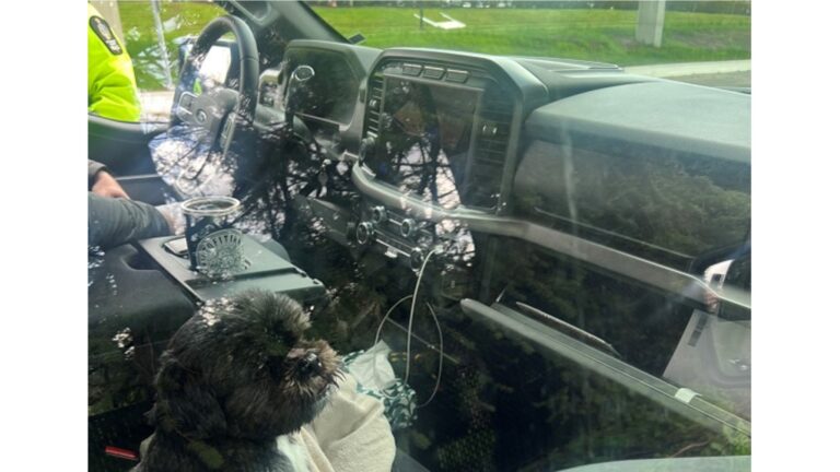 Highway Patrol says leave dog in the passenger seat