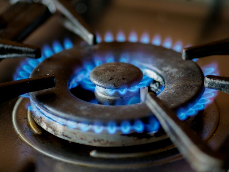 Doctors group says clean energy should not go to LNG producers